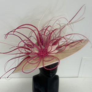 Charity Listing: Pink Feather Hat