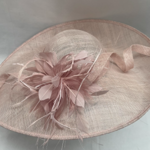 Charity Listing: Blush Pink Hat